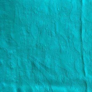 Tula Blanket Aqua dinosaurs